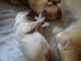 /album/fotogaleria/hijos-jpg/